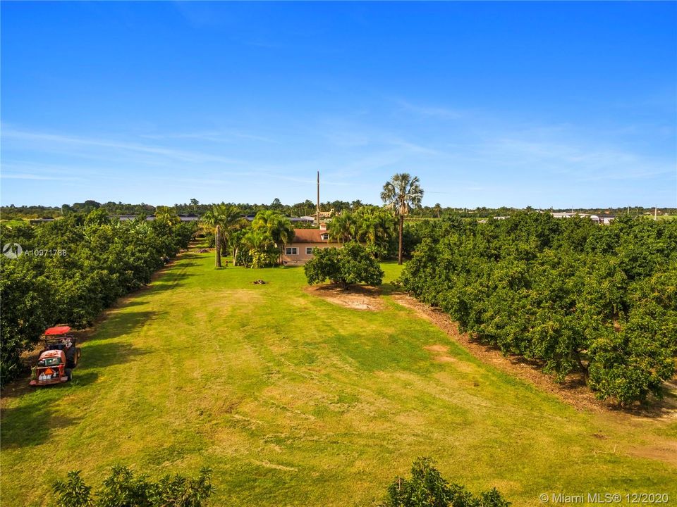 OPEN AREA WITHIN THE 25 ACRES PERFECT FOR HORSES OR FOR A GAME OF SOCCER...