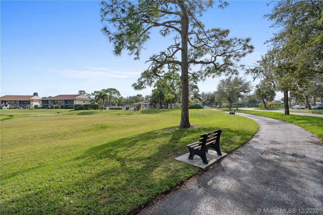 Walkway & Open Green Area