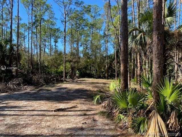 Recently Sold: $29,900 (1.01 acres)