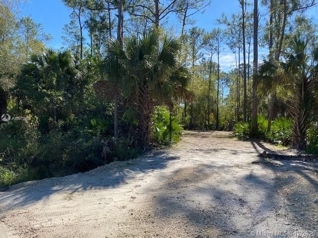 Recently Sold: $29,900 (1.01 acres)