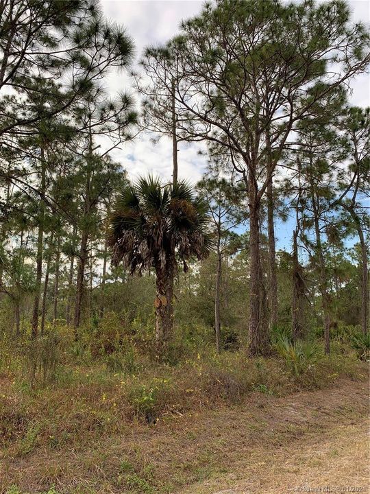 Recently Sold: $30,000 (1.25 acres)