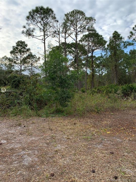 Recently Sold: $30,000 (1.25 acres)