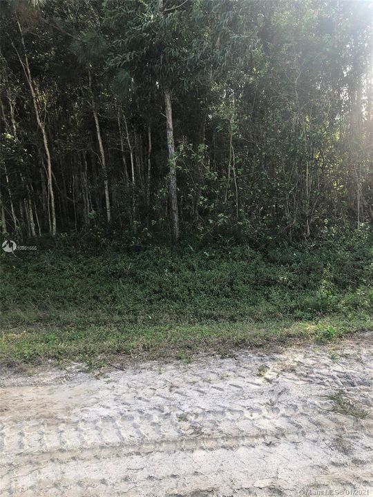 最近售出: $99,900 (1.31 acres)