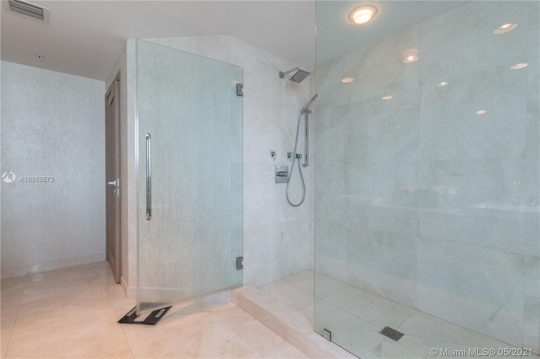 Master Bathroom with wonderful Shower