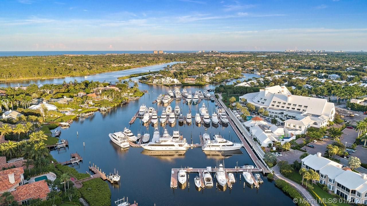 Clubhouse & Marina Aerial