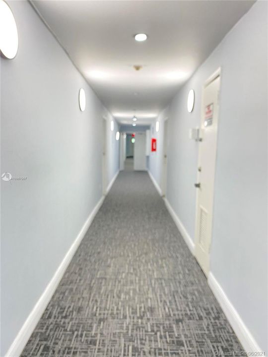 building hallway leading to apt entrance