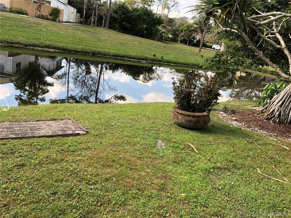 The canal allows for privacy and sighting of some wonderful Florida birds.