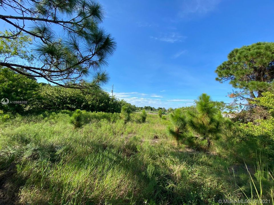 Недавно продано: $65,000 (14.00 acres)