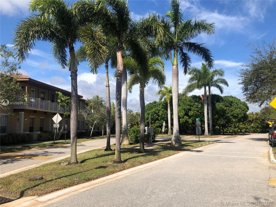 WELL MAINTAINED COMMUNITY