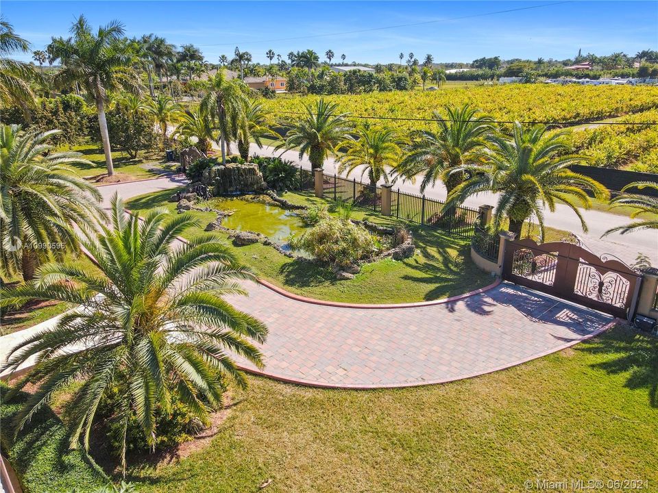 LUSH LANDSCAPING W EXTERIOR LIGHTING/CAMERAS/ELEC GATES.. CIRCLE DRIVE WITH MATCHING GATES AND SPECIMEN PALMS..EASY IN AMD OUT..