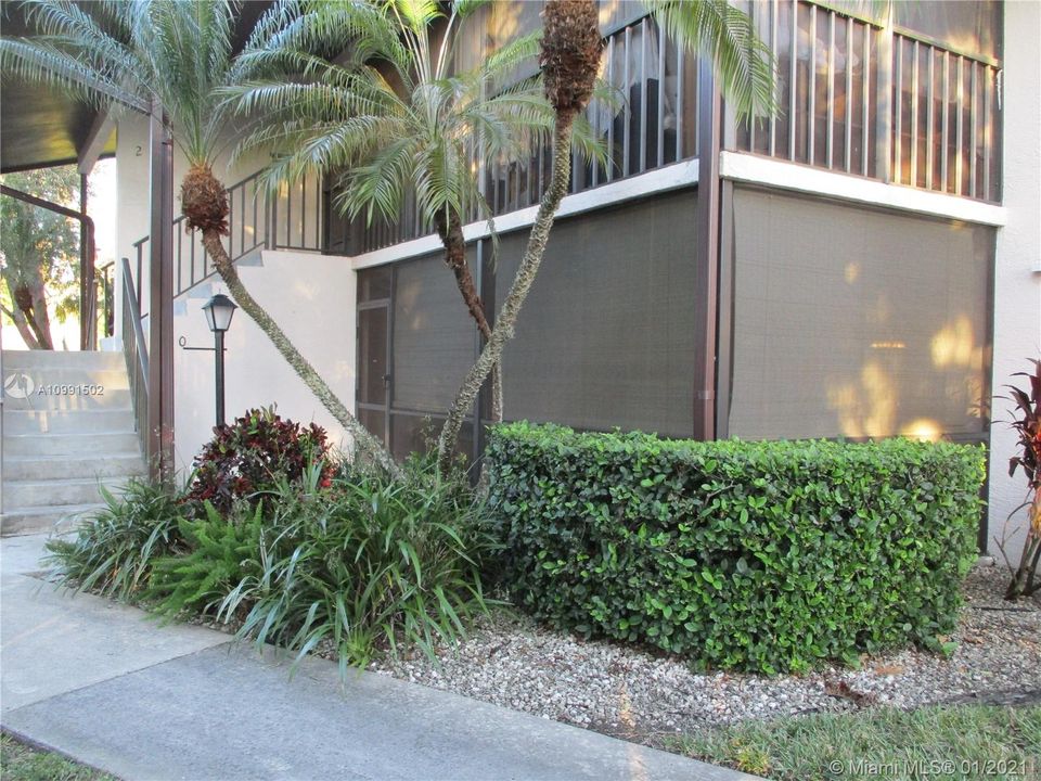 Palm tree Entrance into the condo