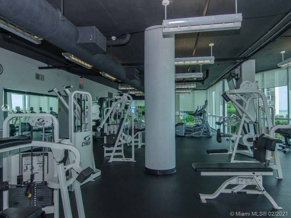 最近租的: $2,150 (1 贝兹, 1 浴室, 791 平方英尺)