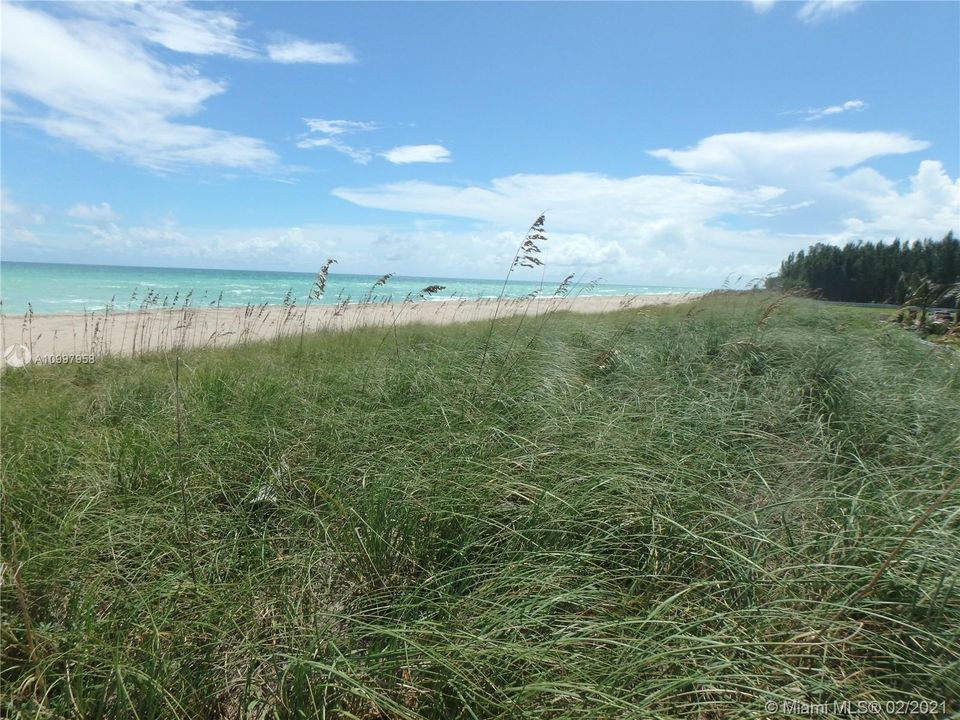 Beach looking south