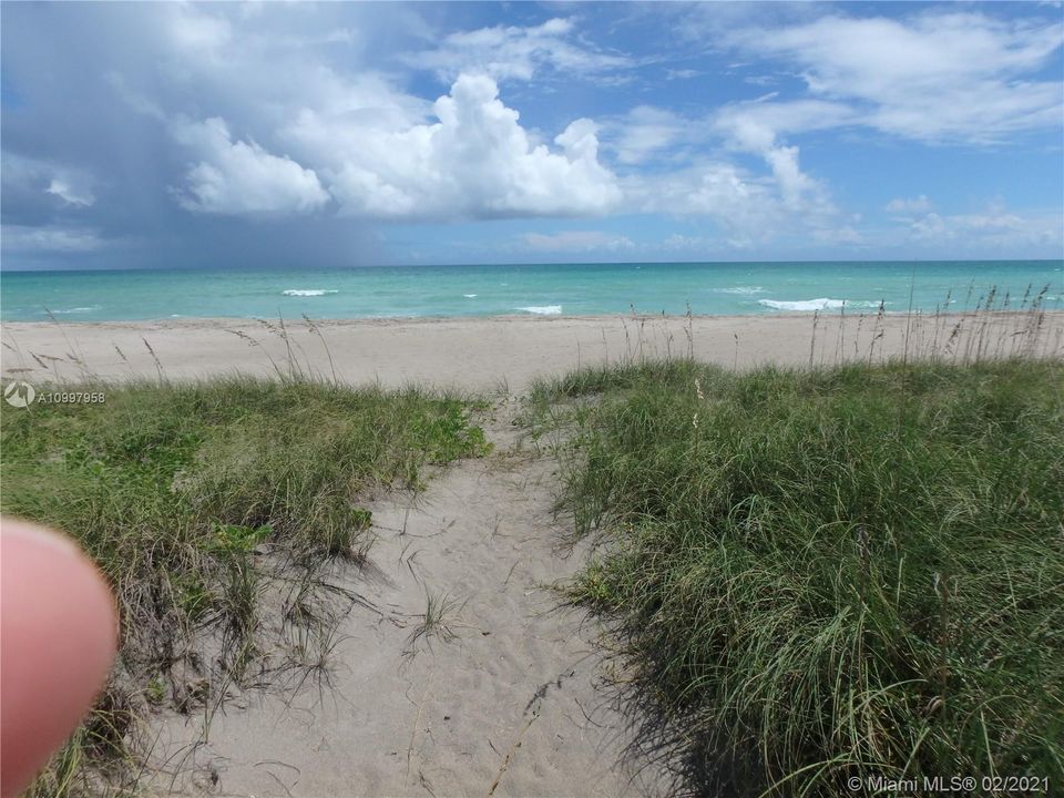 Path way from the dune cross over