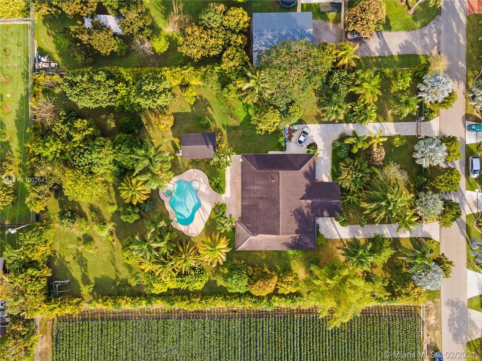 Aerial view of the 1.25 Acre Pool Home