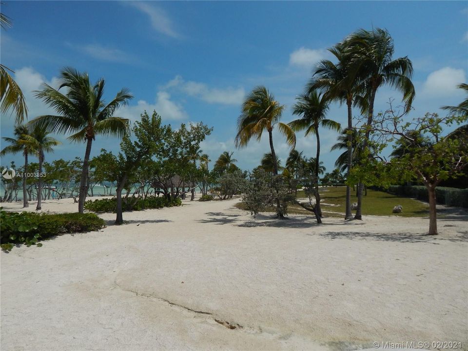 最近租的: $2,800 (1 贝兹, 1 浴室, 904 平方英尺)