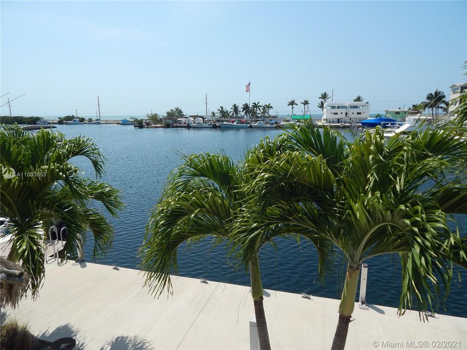 最近租的: $2,800 (1 贝兹, 1 浴室, 904 平方英尺)