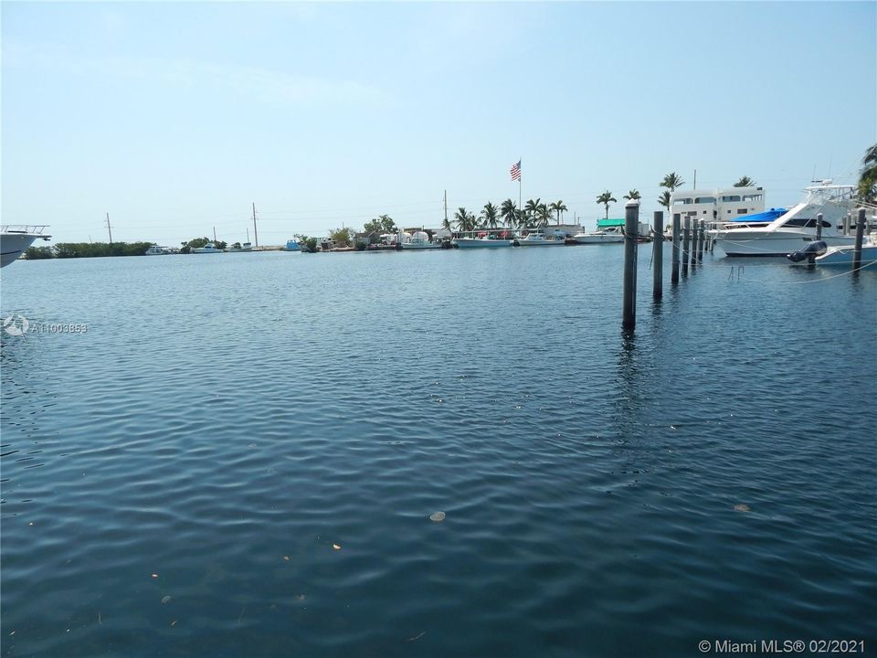 最近租的: $2,800 (1 贝兹, 1 浴室, 904 平方英尺)