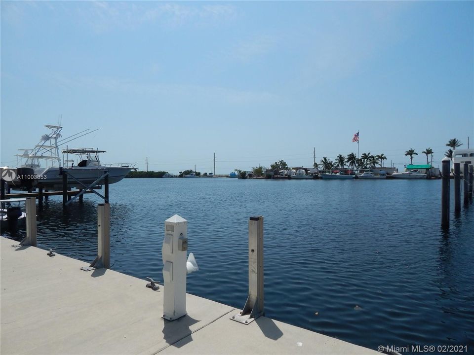 最近租的: $2,800 (1 贝兹, 1 浴室, 904 平方英尺)