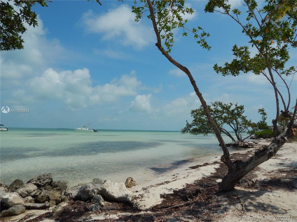 最近租的: $2,800 (1 贝兹, 1 浴室, 904 平方英尺)