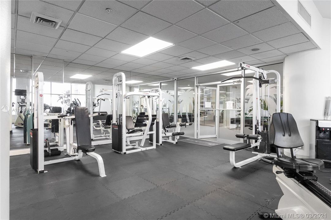 Renovated Gym