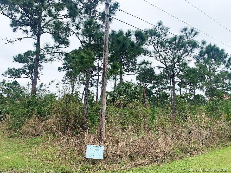 Недавно продано: $75,000 (0.23 acres)