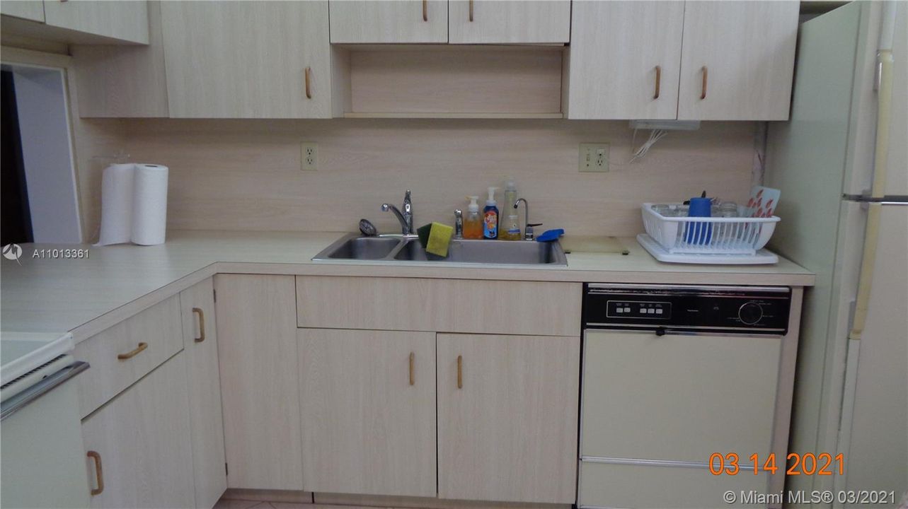 Sink, dishwasher, fridge