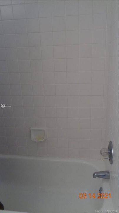 Bath 2 tub tile