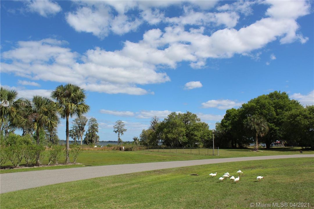 Peaceful and Serene Riverlake's Nature Views