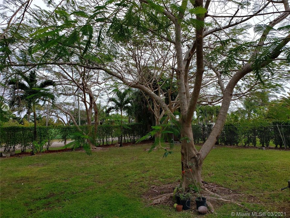 Recently Rented: $3,200 (4 beds, 3 baths, 2175 Square Feet)