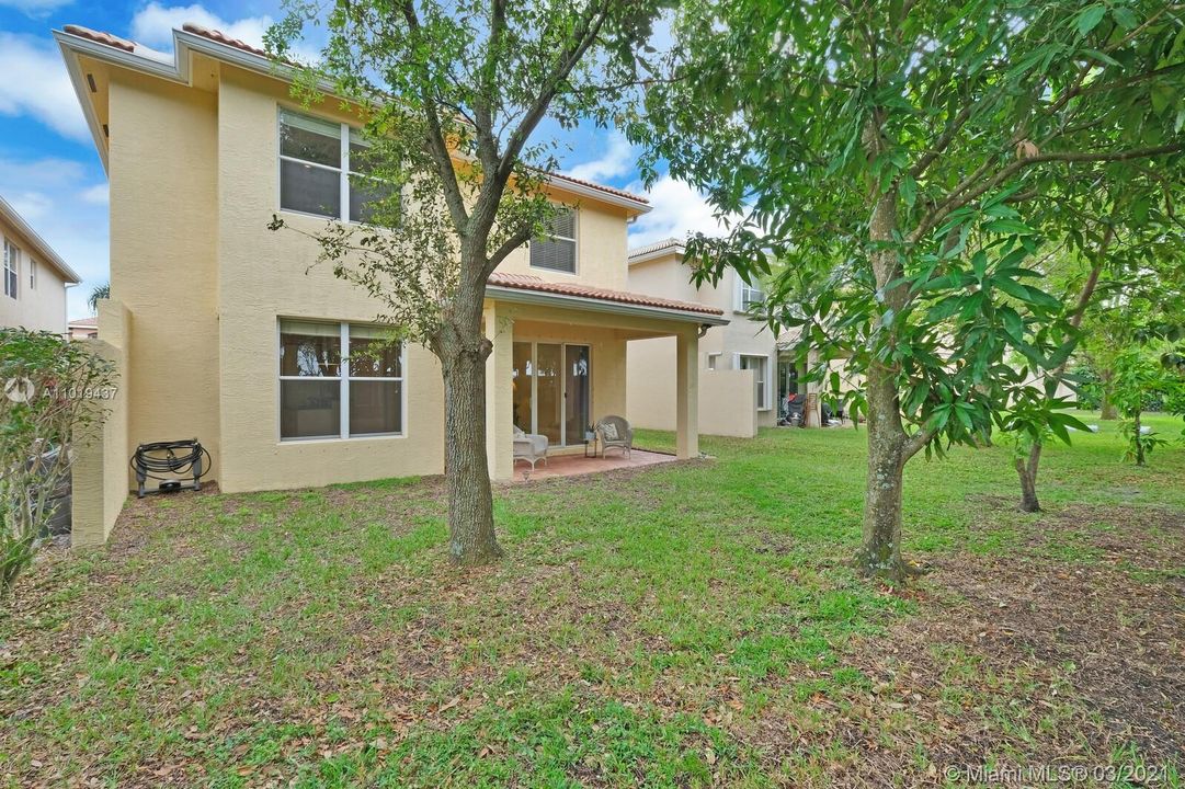 Side View of Back of House