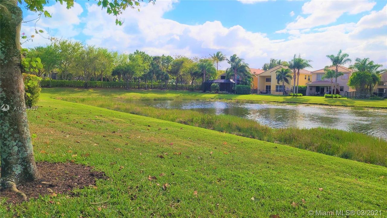 Lakeview from the Club at Canyon Springs