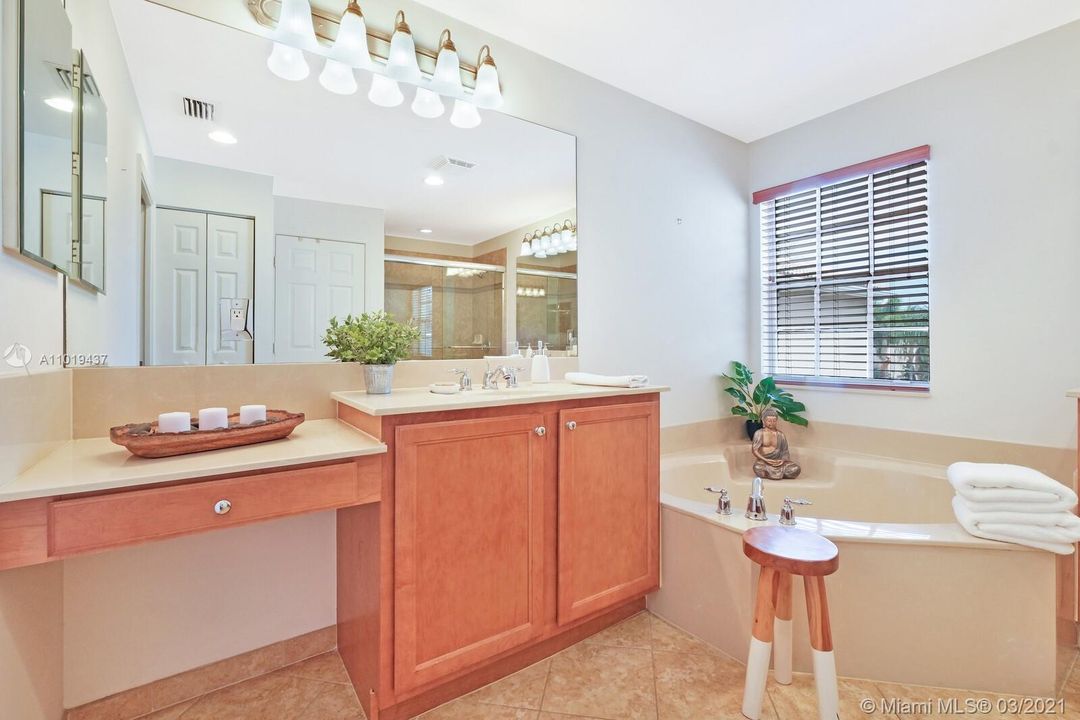 Master Bathroom View of Vanity Area and Tub