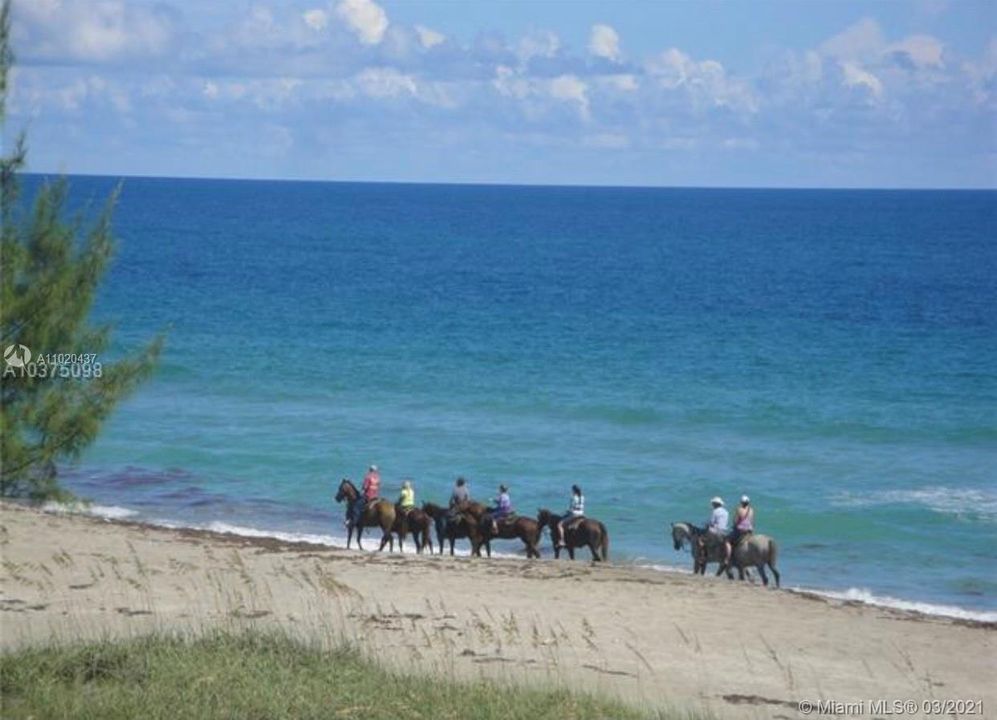 Недавно продано: $230,000 (0.08 acres)