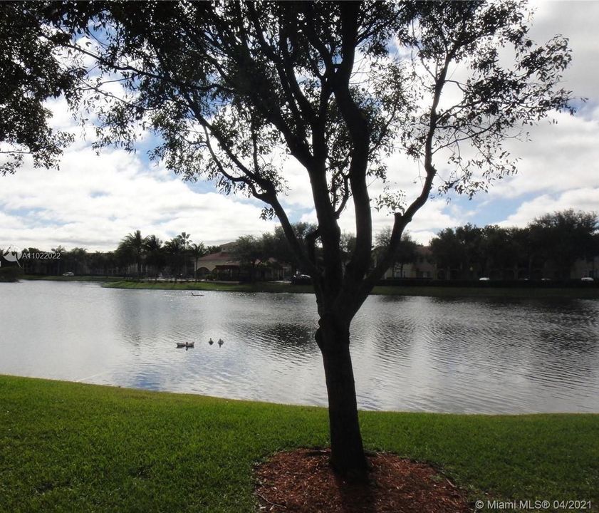 Recently Rented: $1,600 (1 beds, 1 baths, 850 Square Feet)