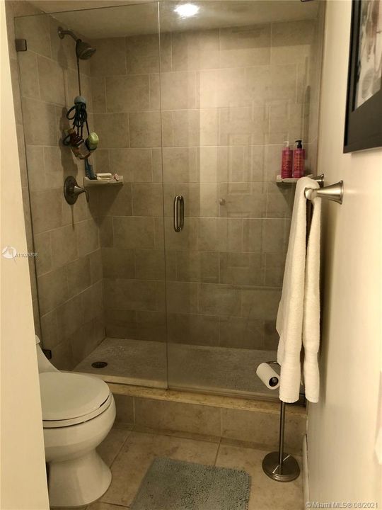 Master Bedroom, Bathroom Shower