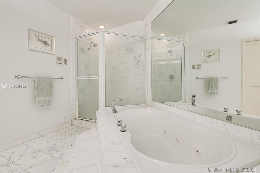 Separate tub and shower in primary bathroom