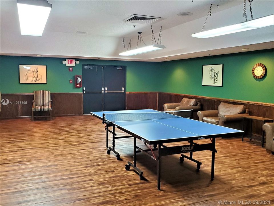Ping Pong and Pool Tables
