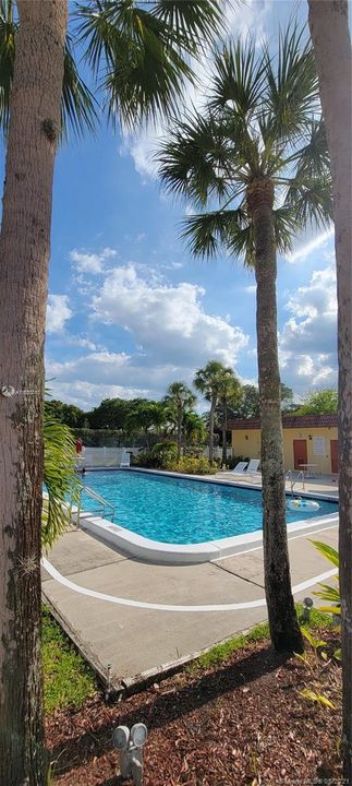 Swimming Pool in the Casa Club