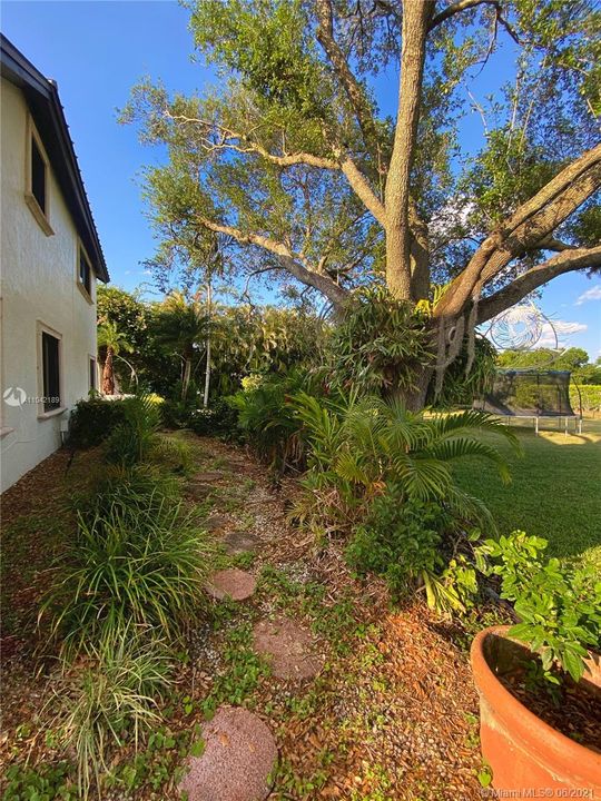 North Side of property road from Backyard to front of property