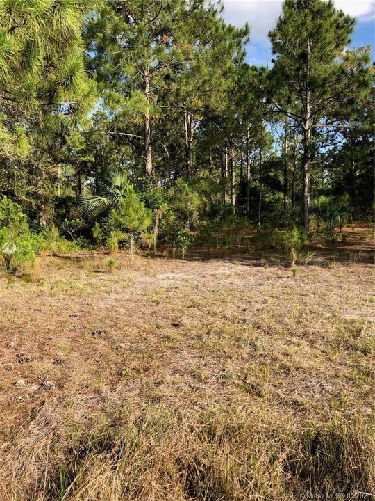 Recently Sold: $35,000 (1.25 acres)