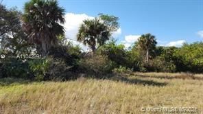 最近售出: $577,000 (0 贝兹, 0 浴室, 0 平方英尺)