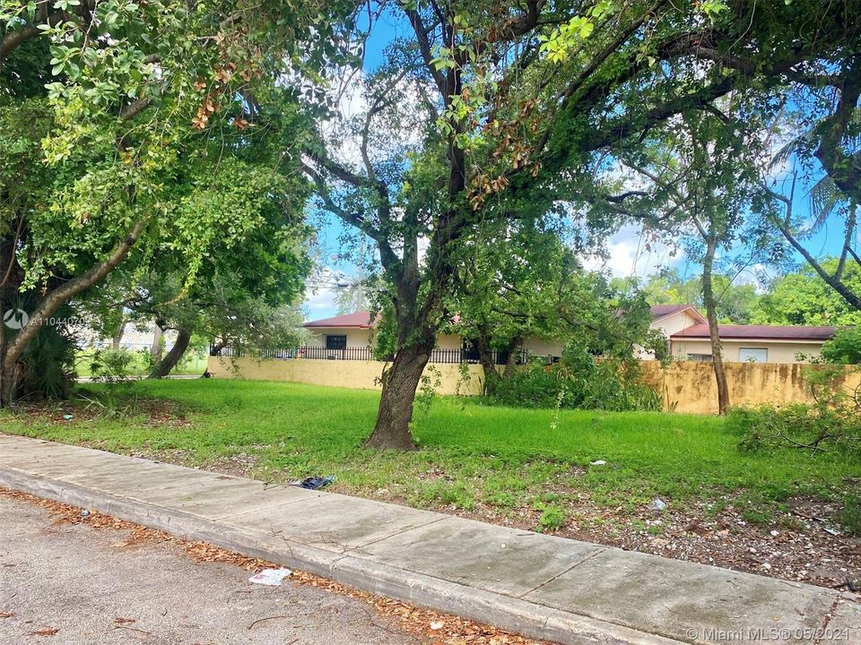 Southeast Lot View