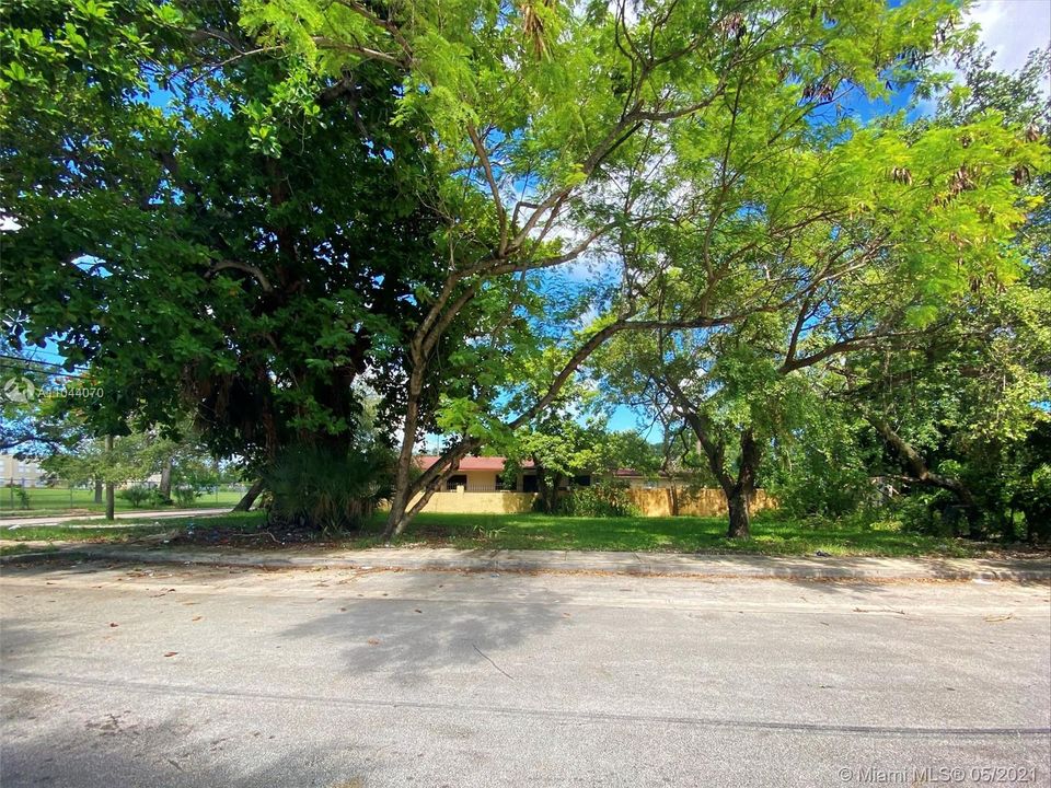 South View of Lot From Across the Street