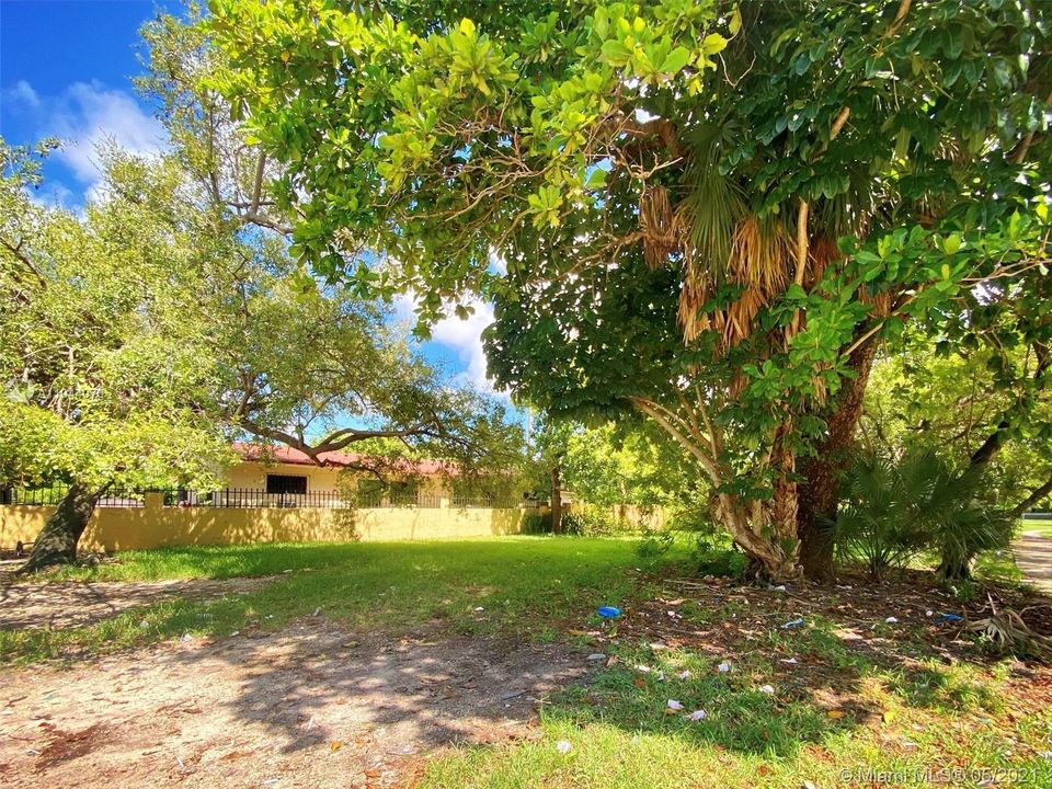 Northwest Lot View