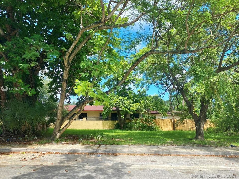 South Lot View