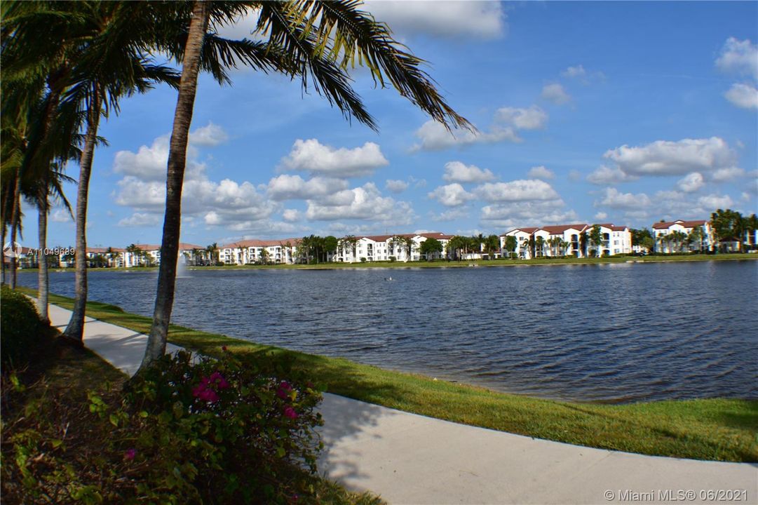 Wide view of the lake