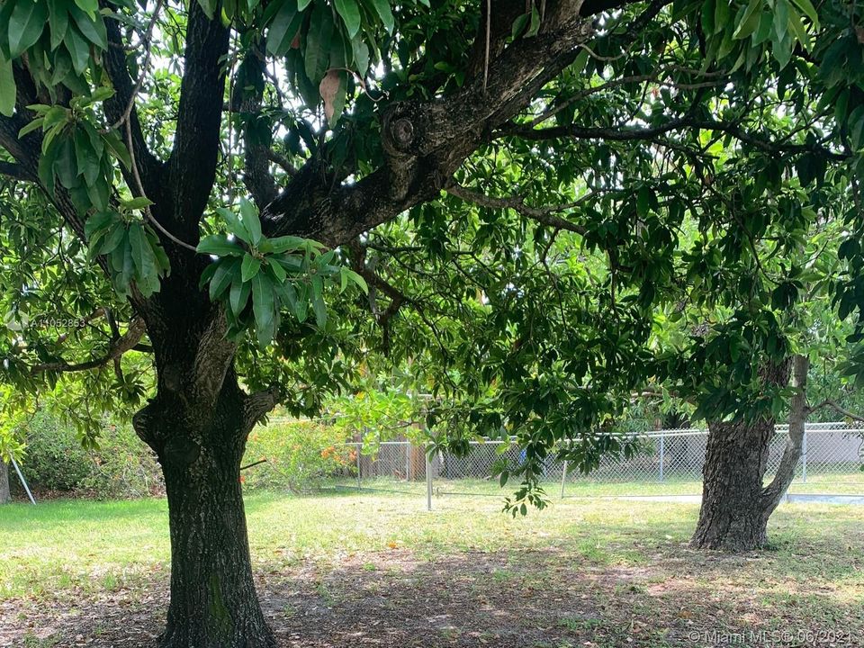 Vendido Recientemente: $185,000 (0.09 acres)