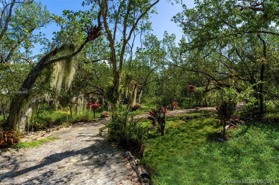 Nature Trail - leads to another Private Beach on property