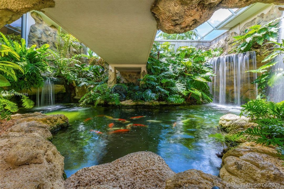 Koi Pond - under bridge entrance